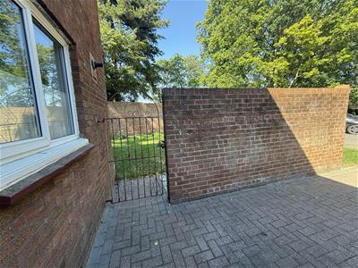 Picture 19